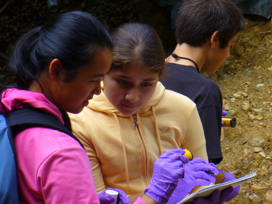 Students working together on an EBAYS project.