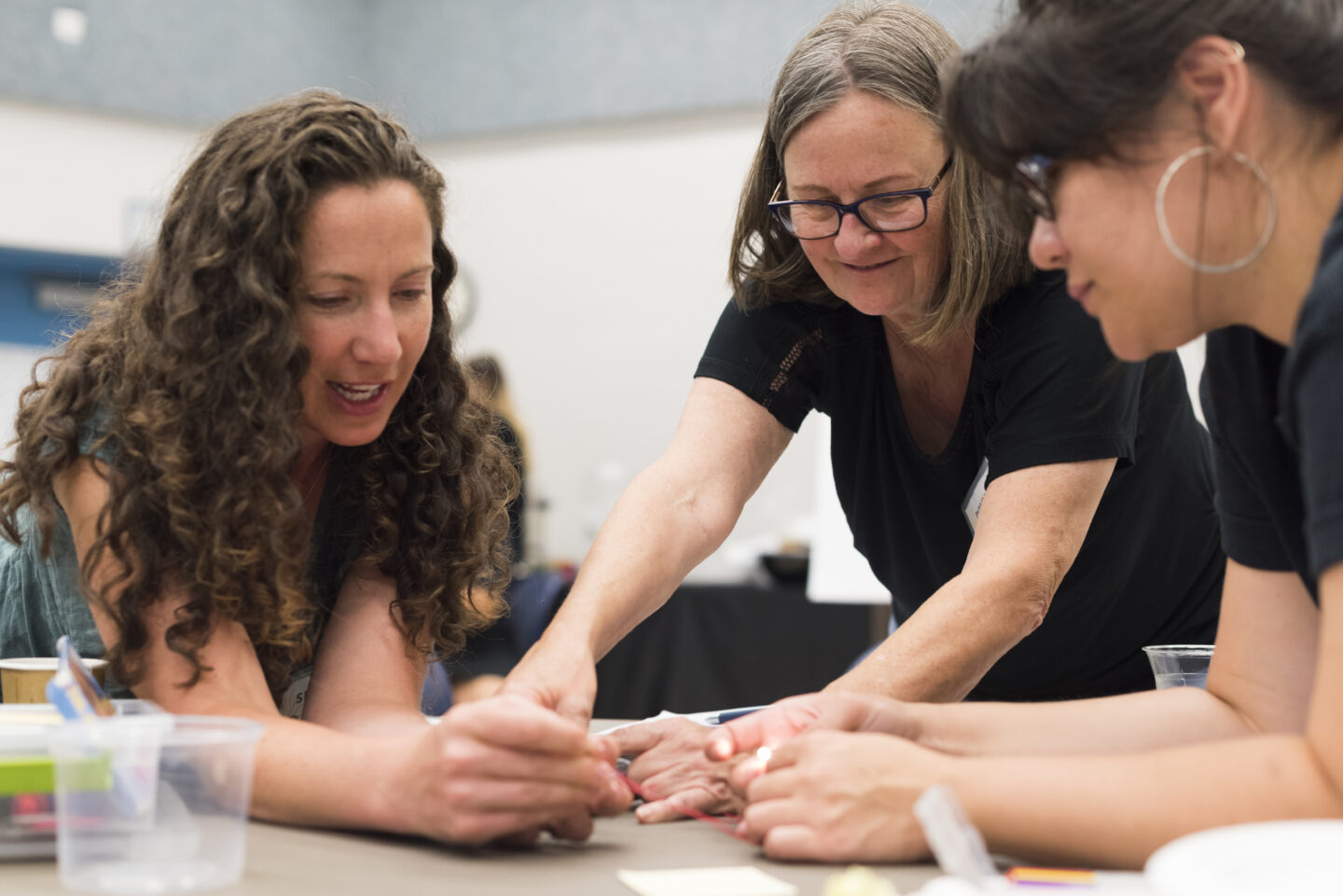 Professional learning for teachers is every bit as important as students' learning. Discover our programs for K-12 teachers, informal and outdoor educators, and more!