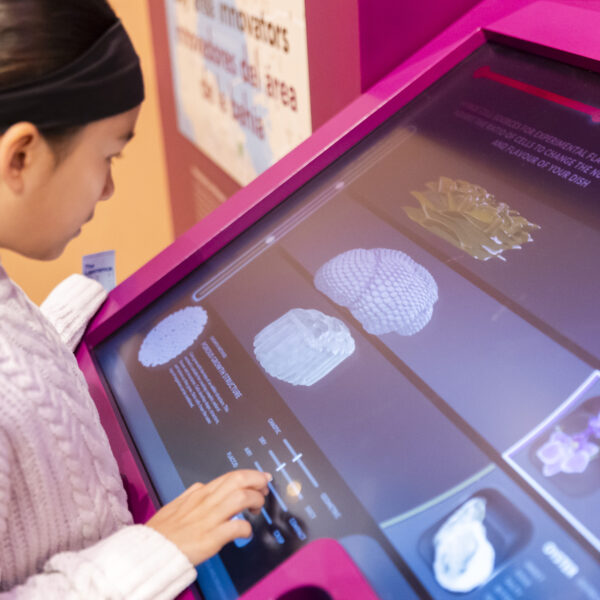 A child interacts with an interactive digital display at a science exhibit, exploring various biological specimens shown on the screen.