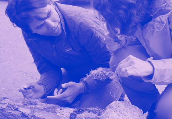 Two adults are conducting research outdoors.