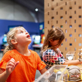 Two children are exploring a science exhibit - Camps & Programs