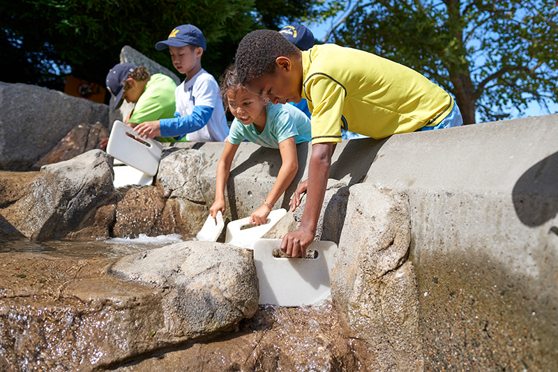 Visitors control the flow of water in the Forces That Shape the Bay exhibit