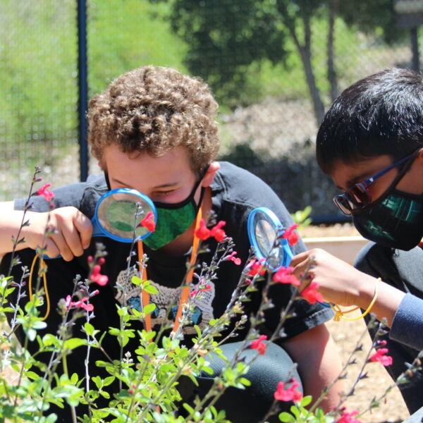 two children examine wildlflowers with hand lenses