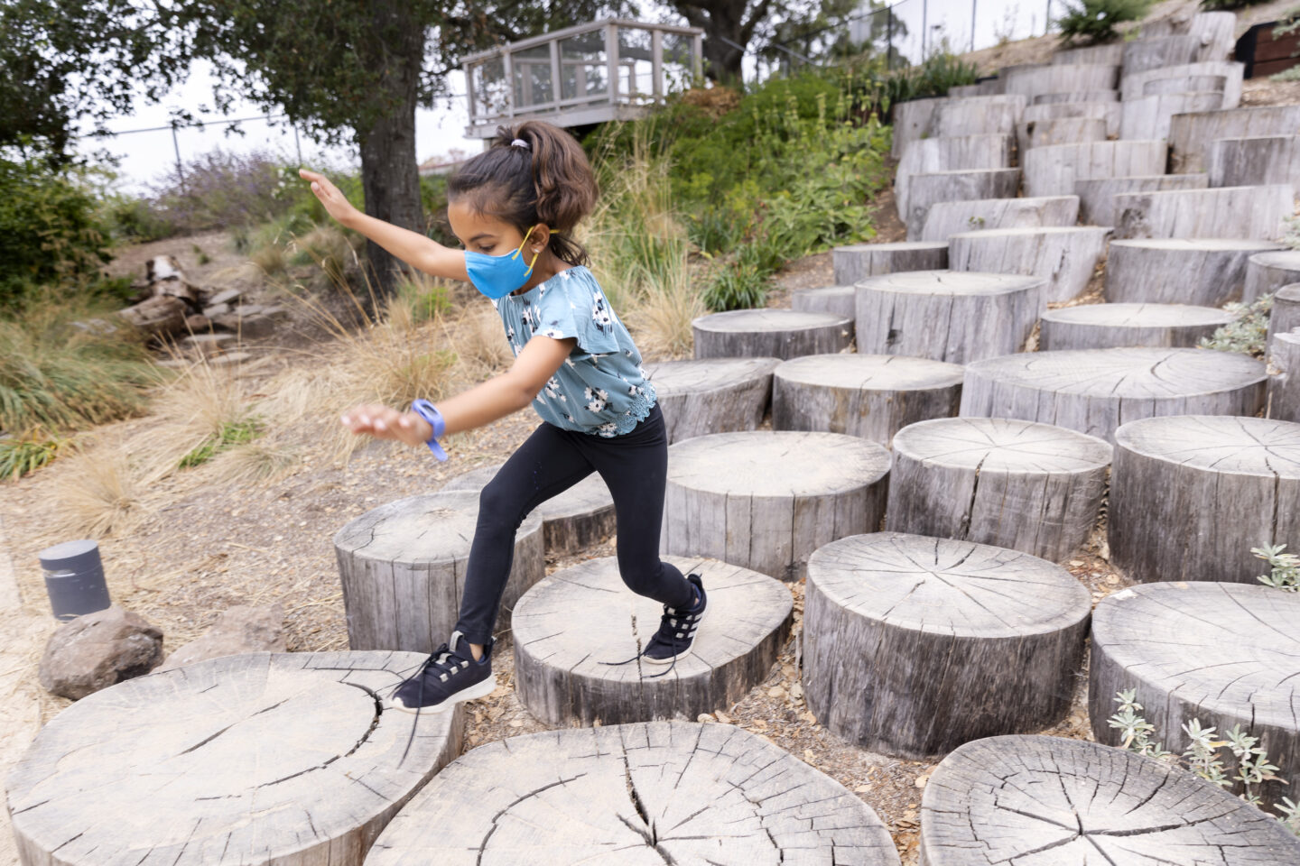A child walks down the Stump Stairs in the Outdoor Nature Lab