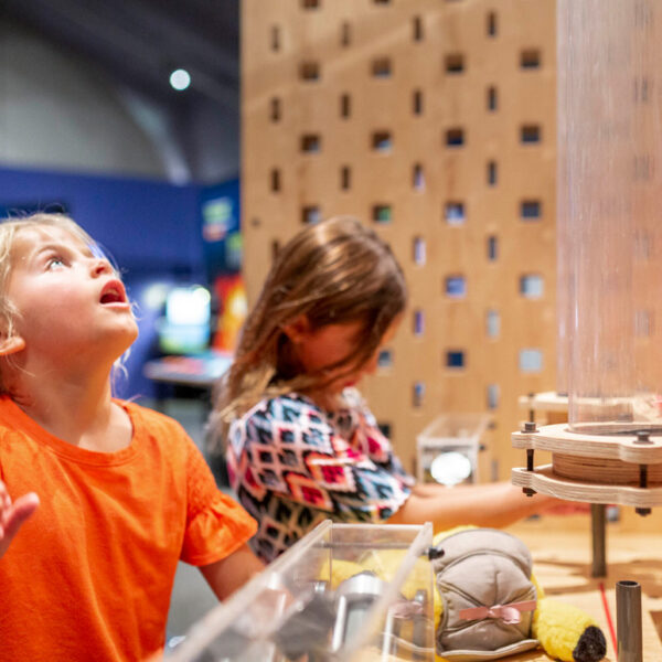 Two children exploring a science exhibit