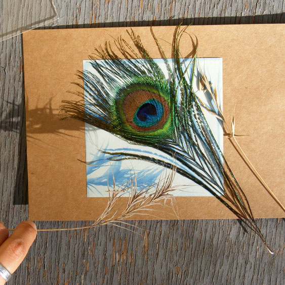 Sunprint with feather