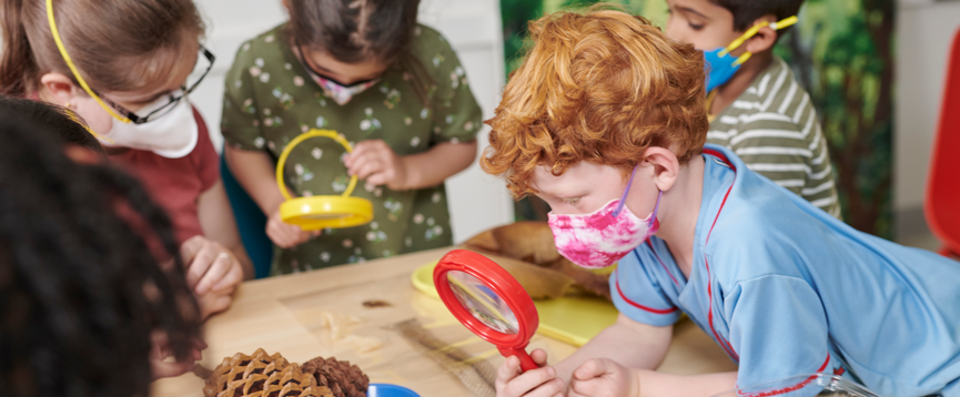 A group of campers are using hand lenses to examine large pine cones and other items from nature.