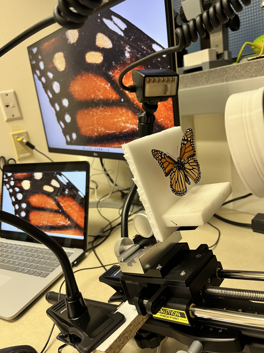 Microscope Photo Setup
