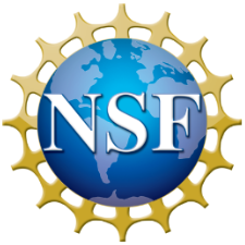 NSF