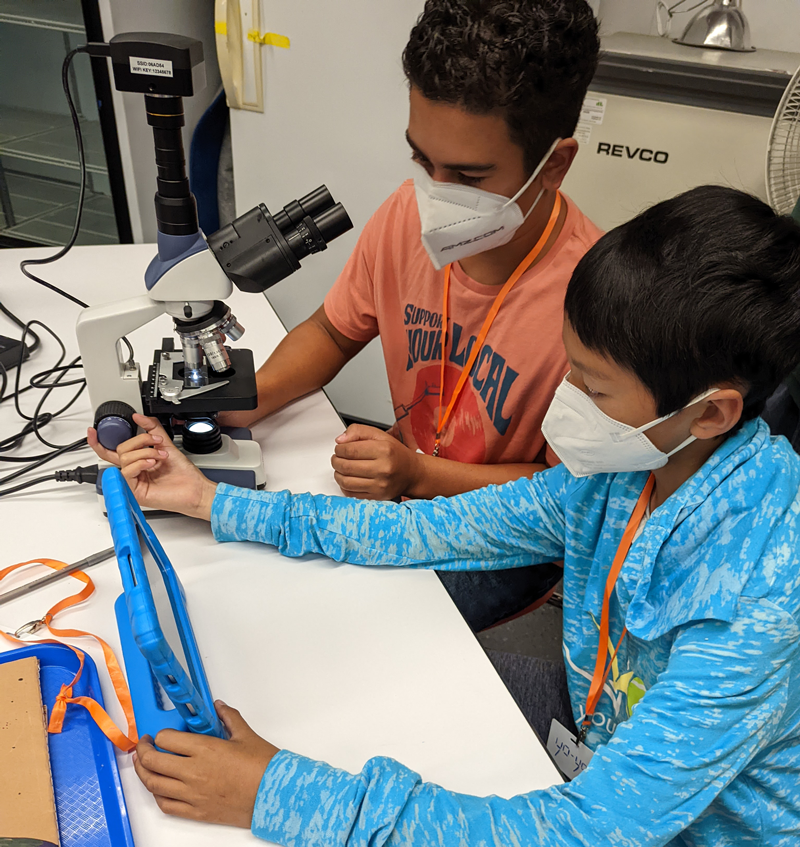 Two students are using a microscope and a tablet during a STROBE science activity