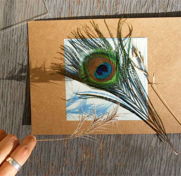 Sunprint art