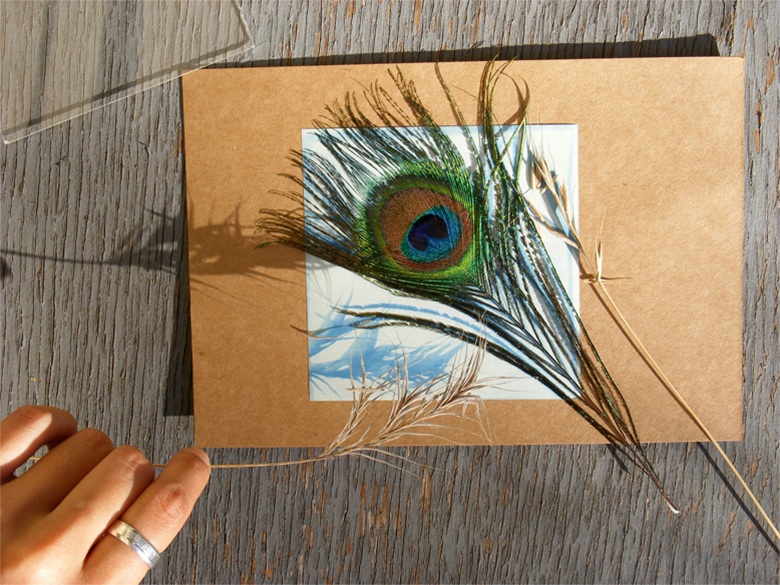 Sunprint art